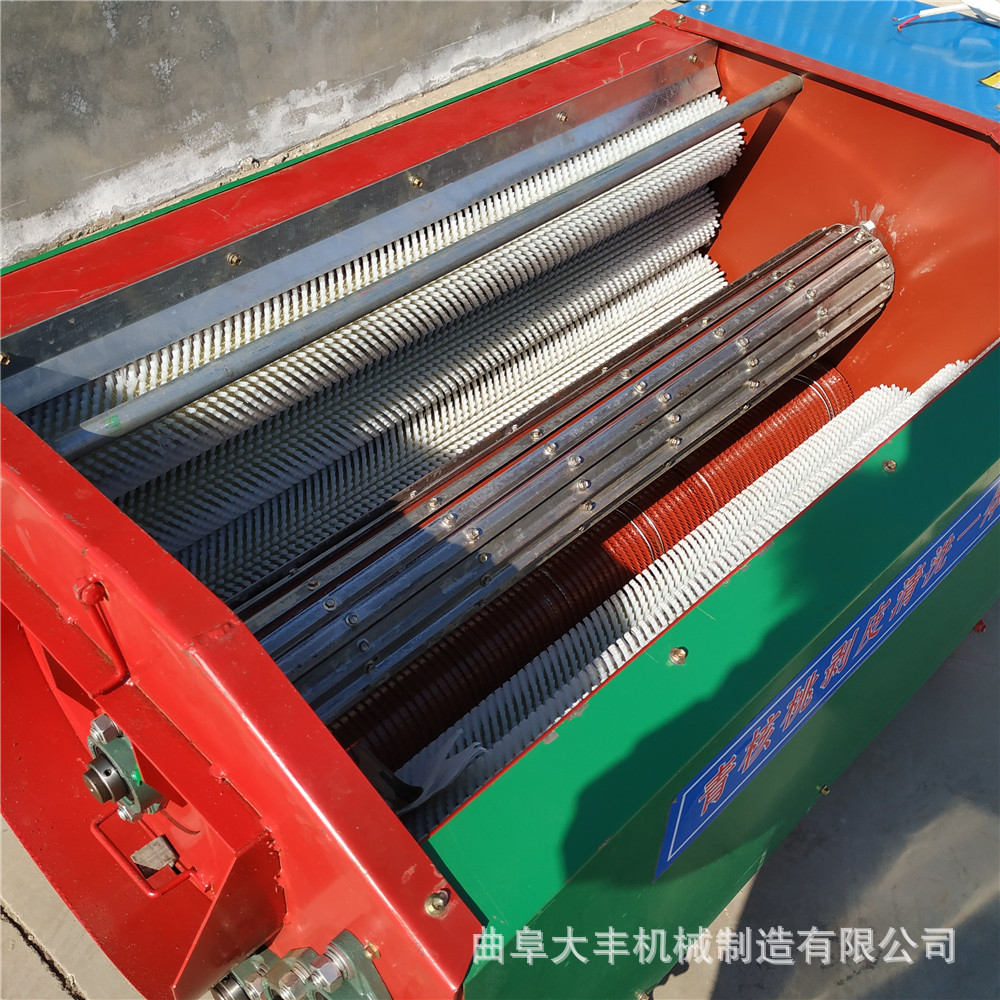 青核桃去皮機(jī) 大型農(nóng)用核桃脫皮機(jī) (10).jpg