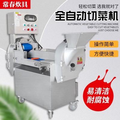 廠家銷售多功能雙頭切菜機商用切菜機大頭球莖果蔬數控切菜機