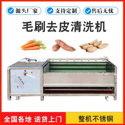 平行海蠣子毛刷清洗機(jī) 貝殼生鮮去泥機(jī)械 生蠔不銹鋼毛輥洗菜設(shè)備