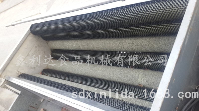 海鮮清洗機 牡蠣 扇貝 貝殼類清洗機 毛刷清洗機