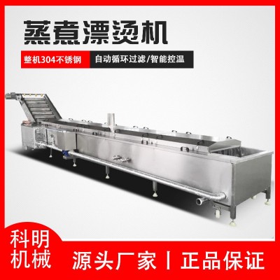 全自動(dòng)果蔬漂燙機(jī) 商用菜葉漂燙殺青機(jī)設(shè)備 食品廠水果預(yù) 煮流水線