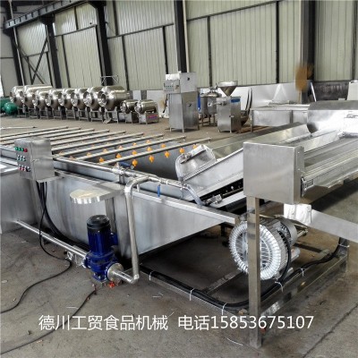 花生毛豆氣泡清洗機 中藥材氣泡清洗設備 西紅柿氣泡清洗機