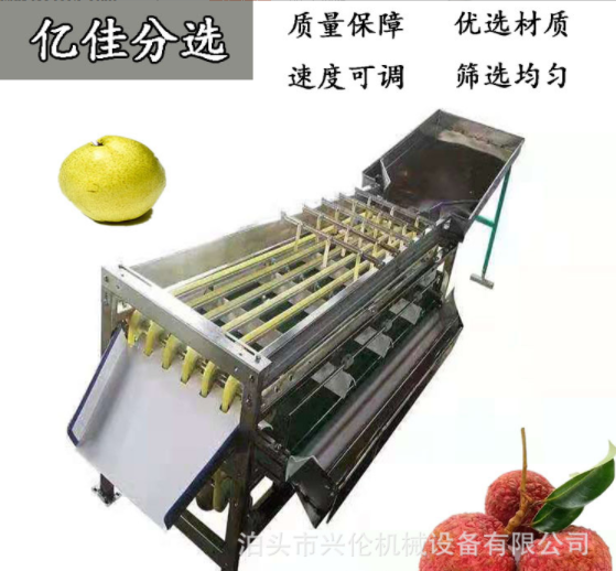 無花果分揀機(jī) 臍橙選果機(jī) 不銹鋼材質(zhì)斜板出料果蔬分選設(shè)備