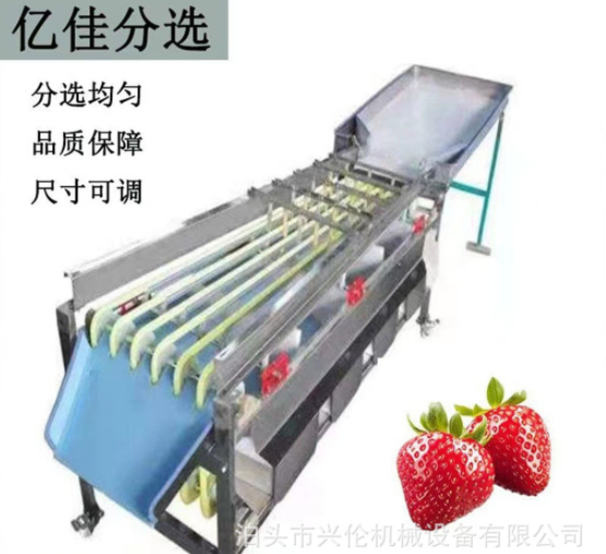 檳郎分級(jí)機(jī)冬棗篩選機(jī)橄欖分揀機(jī)山楂篩果機(jī)獼猴桃分選機(jī)