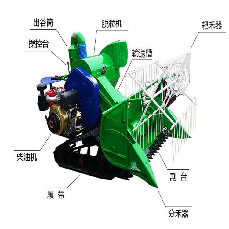 10895682415_1990170767