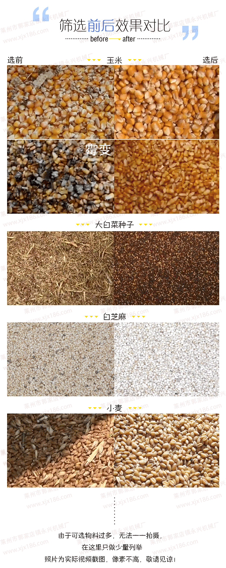 玉米大豆糧食種子除霉精選機05352591186