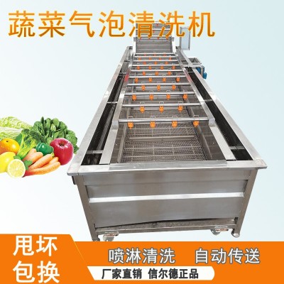 蔓越莓氣泡果蔬清洗機 全自動山野菜蔬菜加工設備 醬菜脫鹽清洗機