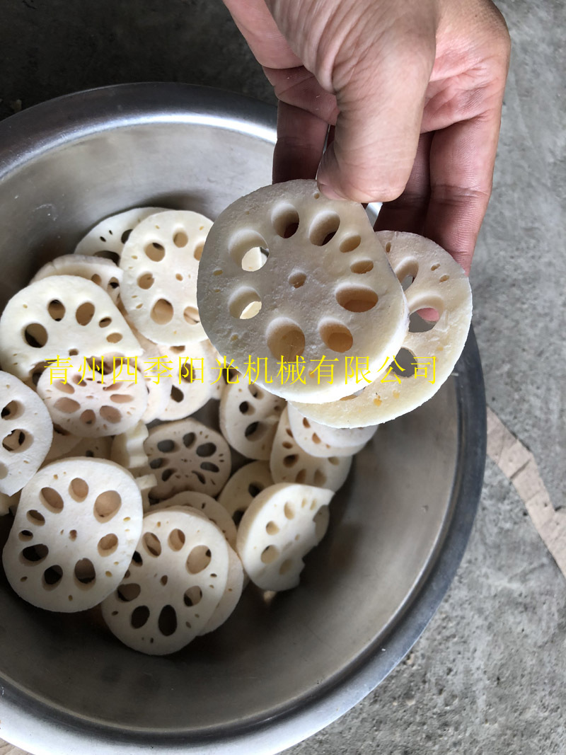 循環(huán)鏈條式速凍機(jī)