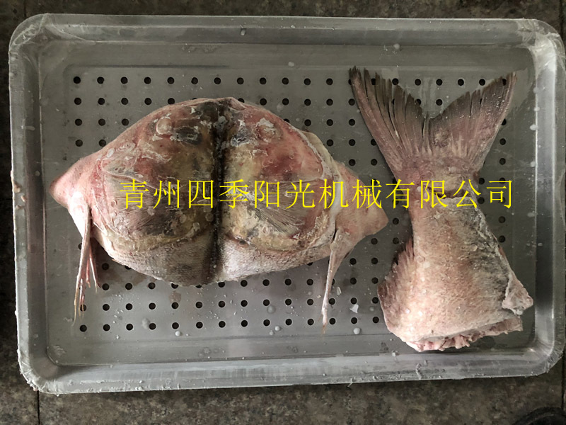 循環(huán)鏈條式速凍機(jī)