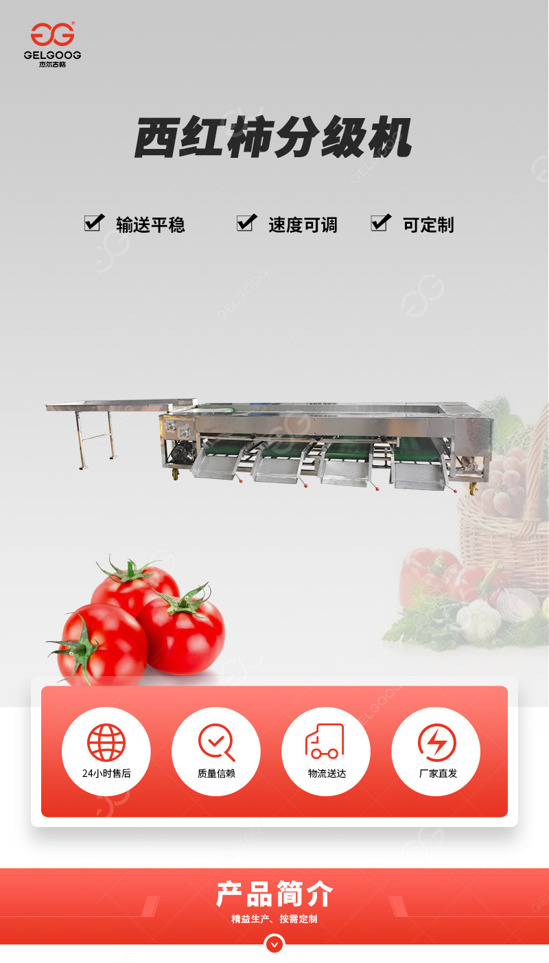 西紅柿滾杠分級機首圖xin_01