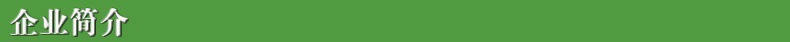 企業簡介1.jpg