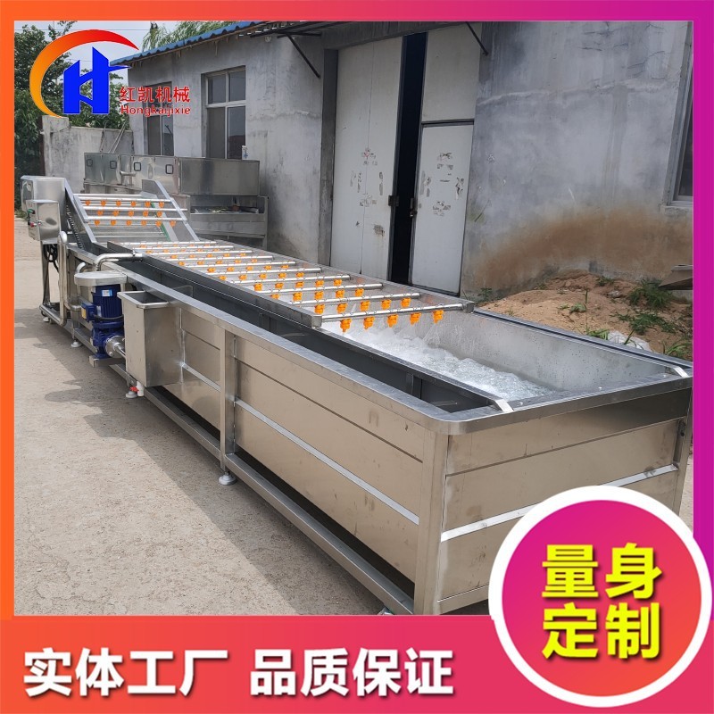 供應鼓泡式清洗設備 蒜米漂皮清洗機 全自動桃子噴淋式清洗機