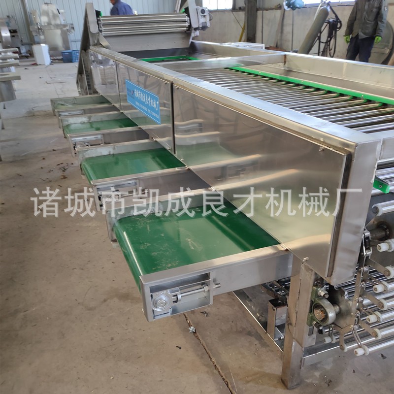 滾杠式櫻桃車厘子葡萄大棗核桃分選機 廠家直銷
