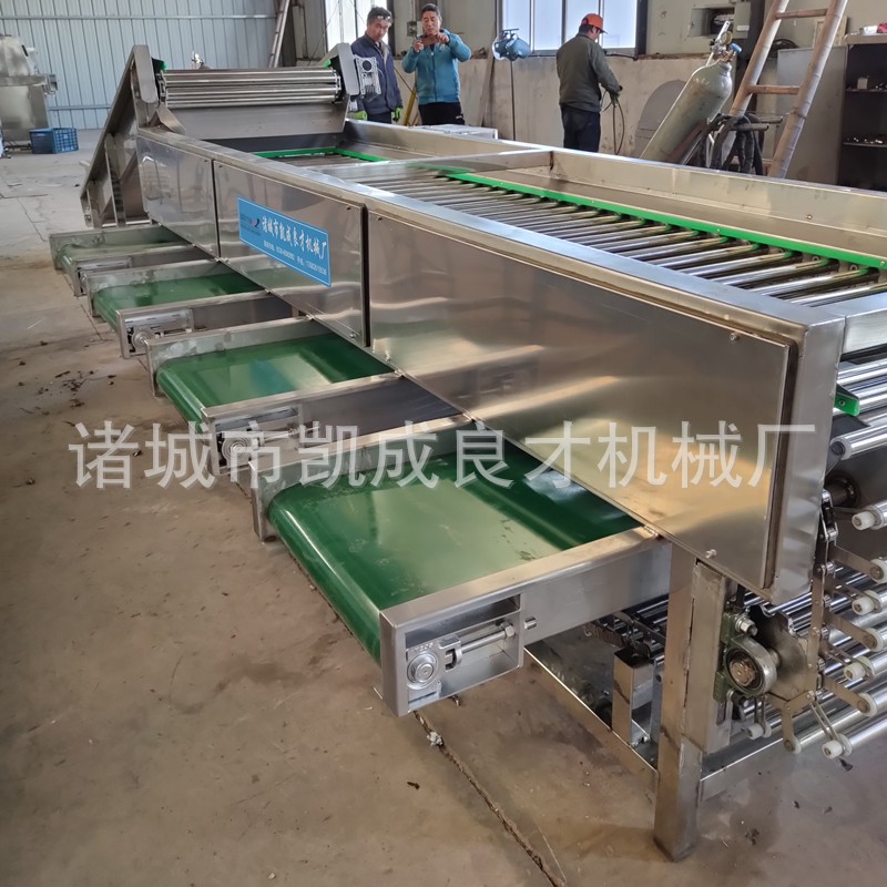 果蔬分選機 大小水果分級機 柑桔火龍果選果機