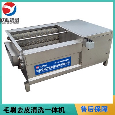 歐業(yè)毛刷清洗機(jī) 芋頭去皮機(jī) 全自動(dòng)小型蓮藕脫皮機(jī)