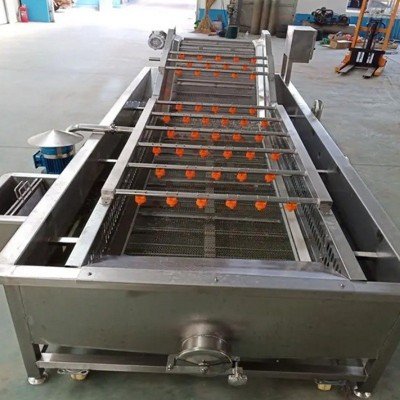 廠家供應軟包裝袋清洗機 蔬菜瓜果氣泡清洗流水線 水產(chǎn)品清洗設備