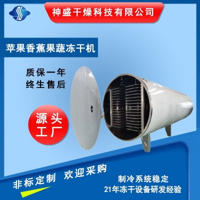 廠家供應(yīng)蘋(píng)果凍干機(jī)香蕉梨子凍干機(jī) 檸檬果蔬凍干機(jī)（5-250平方）