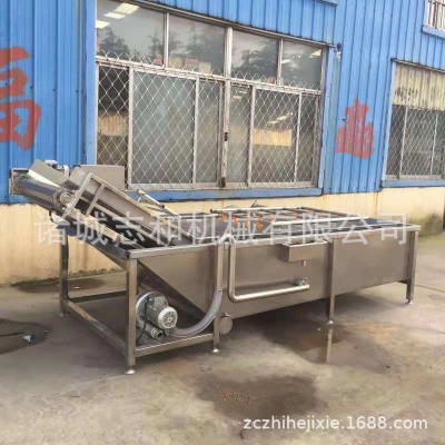 山東菠菜氣泡清洗機(jī) 水果氣泡清洗機(jī)高壓噴淋 果蔬鼓泡清洗機(jī)