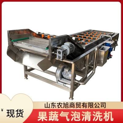 大蒜鮮蒜清洗設備 麻葉預制菜氣泡清洗機 山野菜加工成套設現貨