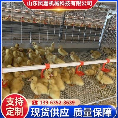 現(xiàn)貨供應籠養(yǎng)設備 農(nóng)業(yè)養(yǎng)殖機械肉鴨籠 鴨子籠養(yǎng)殖場用的肉鴨籠