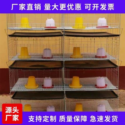 廠家現(xiàn)貨供應(yīng) H型加粗加密小雞籠 階梯式自動(dòng)化養(yǎng)殖設(shè)備
