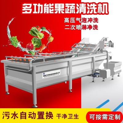 廠家供應(yīng)燈泡茄清洗機(jī) 凈菜加工小青瓜清洗機(jī) 蔬菜加工流水線