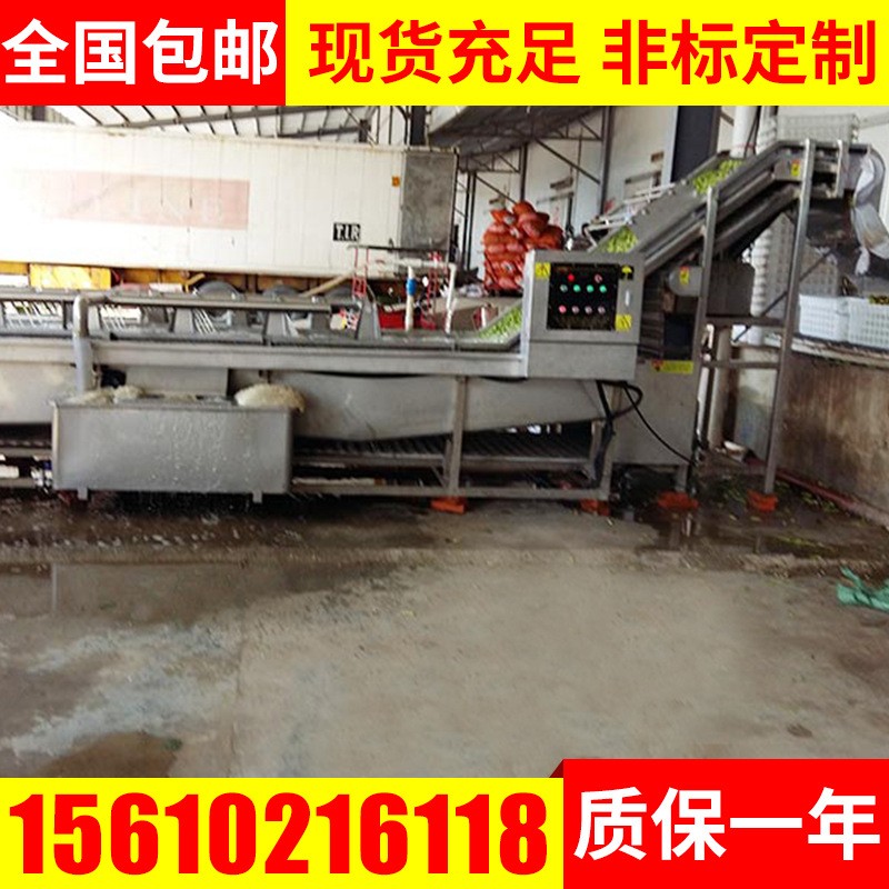 毛豆去雜清洗機 紅棗高壓清洗機 氣泡式翻滾清洗設(shè)備 果蔬清洗機