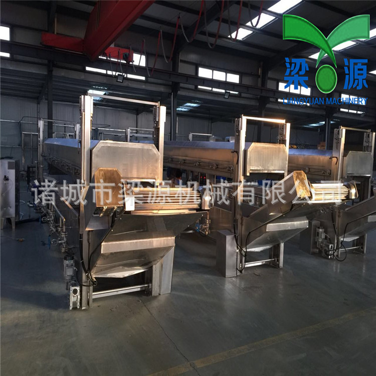 丸子生產(chǎn)線