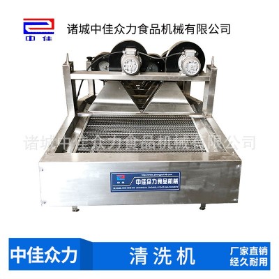 廠家洗菜機水果蔬菜氣泡噴淋清洗機全自動蔬菜清洗機