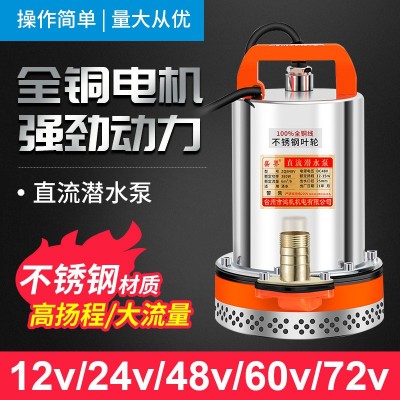 農(nóng)用家用12V24V48v60v直流泵車船電動排污潛水泵大流量便捷抽水機(jī)