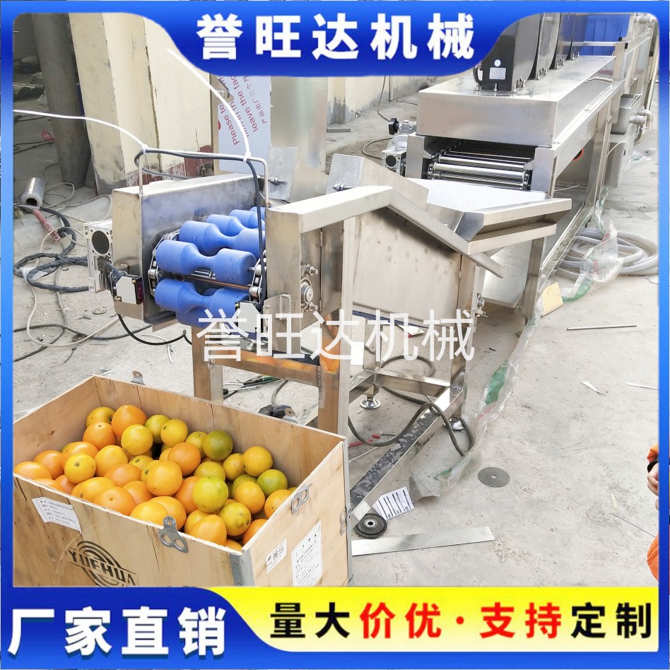 節水型果蔬汽泡清洗機 汽泡橙子清洗機 四川椪柑循環水毛刷清洗機