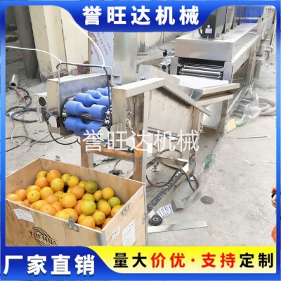 節(jié)水型果蔬汽泡清洗機(jī) 汽泡橙子清洗機(jī) 四川椪柑循環(huán)水毛刷清洗機(jī)