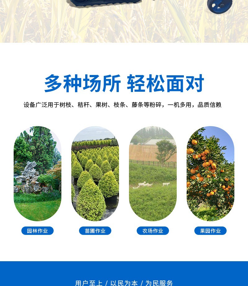 ST-786多功能碎枝除草機(jī)(1)_004.jpg