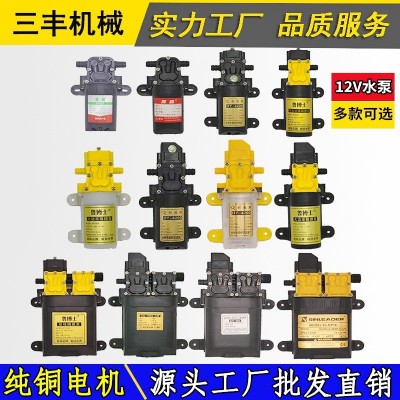 12V電動噴霧器水泵高壓智能回流隔膜雙核水泵電動噴霧器配件批發