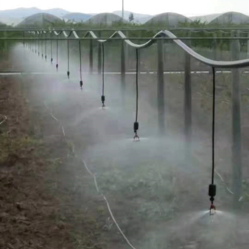 58823b691ee3196a41a6f4aeb7e574