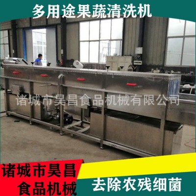 果蔬清洗機(jī)商用 爆款中藥材高壓噴淋旋流氣泡 多功能節(jié)能高效清洗