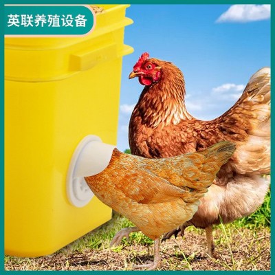 雞用喂料器家禽自動喂食器雞料筒雞用飼料桶雞用喂料桶禽類喂料口