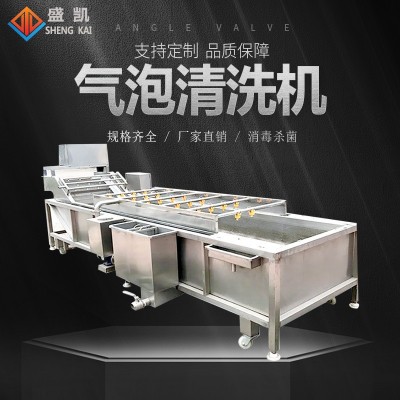 中藥材氣泡清洗機凈菜加工設備水果蔬菜辣椒清洗 萬能氣泡 清洗機