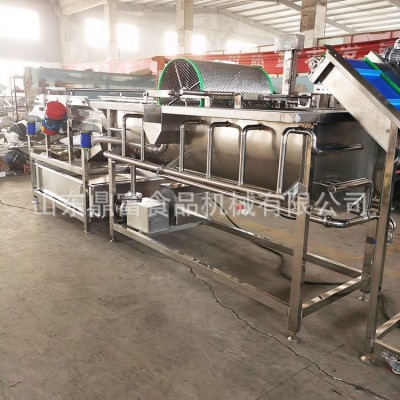 廠家自產大型鼓泡旋流水式大型洗菜機 供應蔬果清洗機 渦流洗菜機