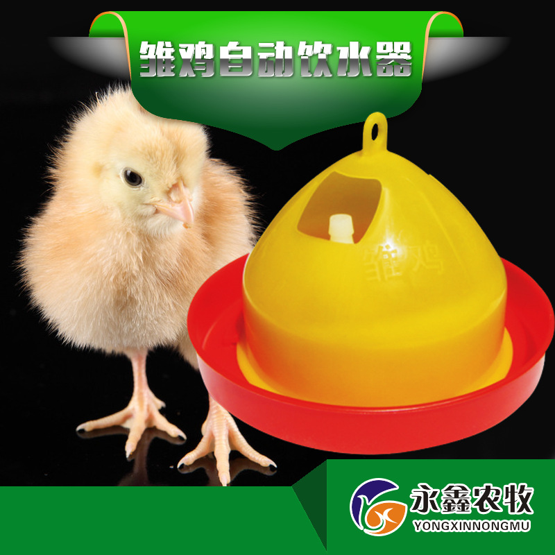 雛雞自動飲水器主圖
