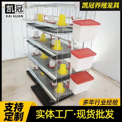 蛋雞育雛籠階梯式小雞籠子雛雞籠養雞場設備熱鍍鋅立式四層育雛籠