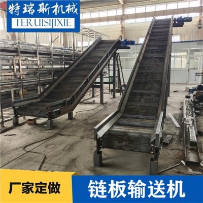 廢料載重上料爬坡鏈板輸送機(jī) 碳鋼鏈板提升機(jī) 特瑞斯設(shè)計(jì)定做