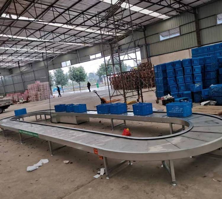 環形輸送機 車間流水線傳送帶運行穩定 循環運轉工作 水果包裝挑選