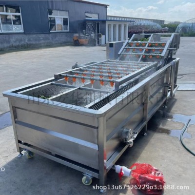 廠家供應果蔬氣泡清洗機 西紅柿辣椒洗菜機 不銹鋼噴淋式清洗設備