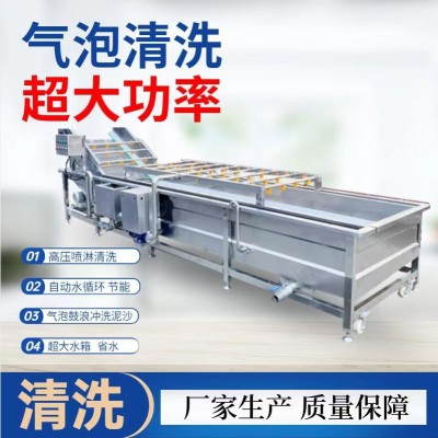 全自動氣泡清洗機 辣椒大棗果蔬清洗機 商用大型銀耳玉米清洗設備