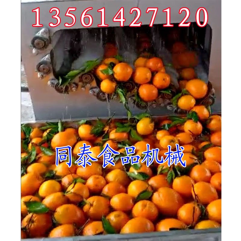 贛橙清洗機