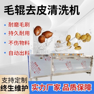 土豆紅薯毛輥清洗機海蠣子去泥清洗設(shè)備豬蹄三七芋頭去皮清洗機