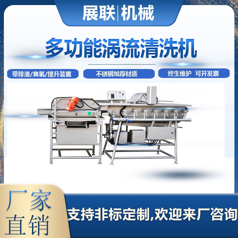 廠家直銷全自動凈菜加工設備果蔬清洗機不銹鋼渦流清洗機氣泡清洗