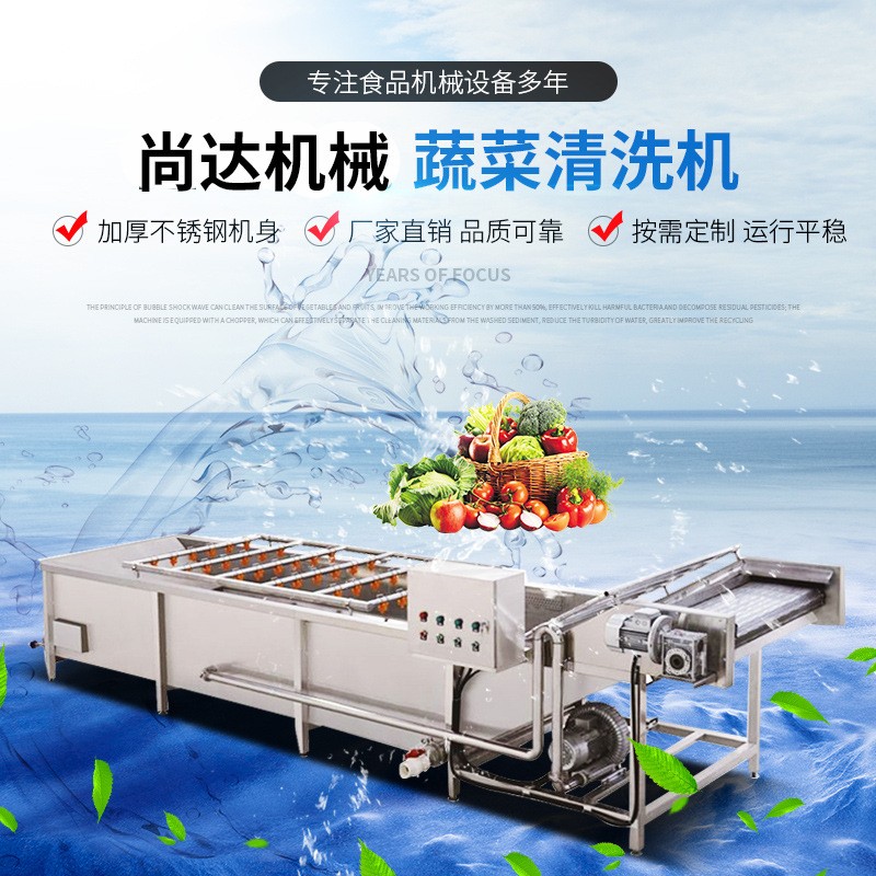 多功能氣泡自動清洗機 水果消毒去農殘清洗機廠家 農殘消毒清洗機