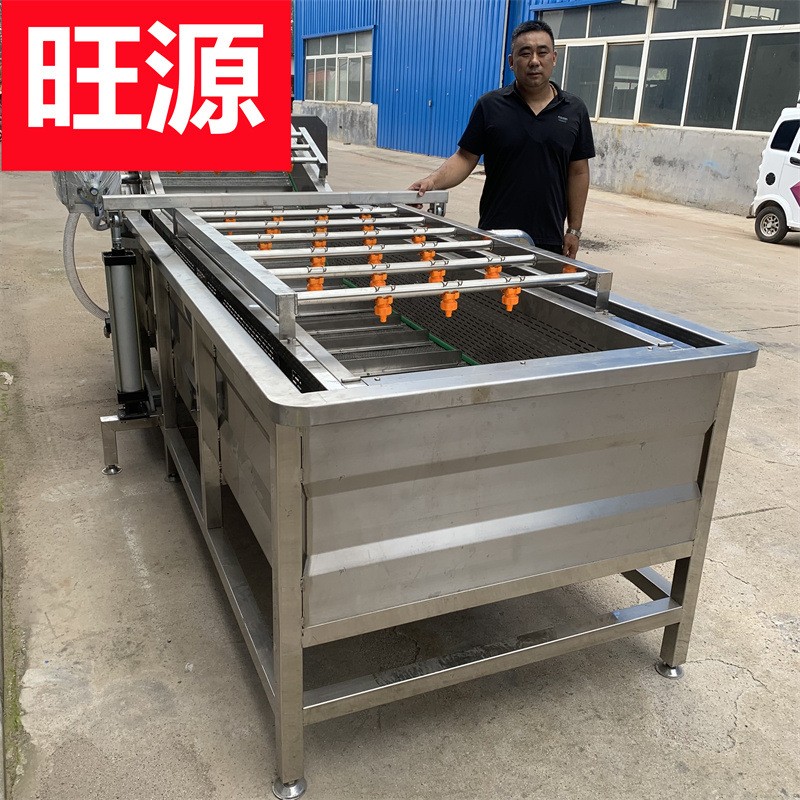 全自動氣泡清洗機 果蔬氣泡清洗線 蘋果深加工設備 多功能清洗機